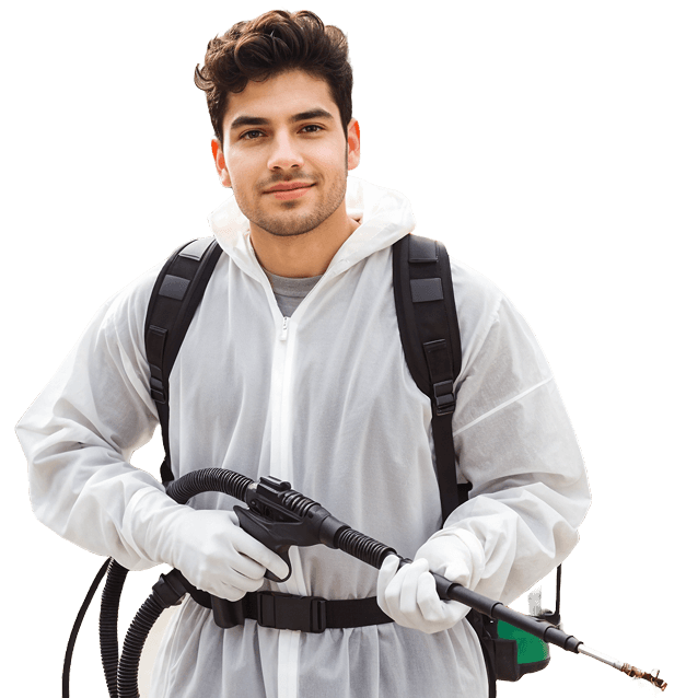 Pest Control Services Mumbai